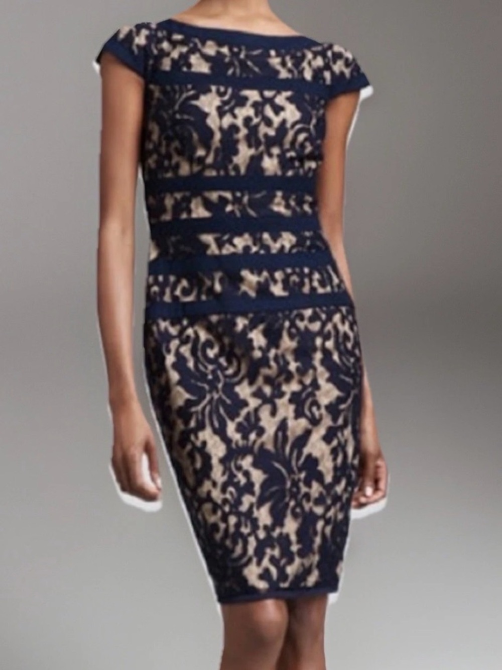 Tadashi Shoji Navy and Beige Lace Sheath Dress